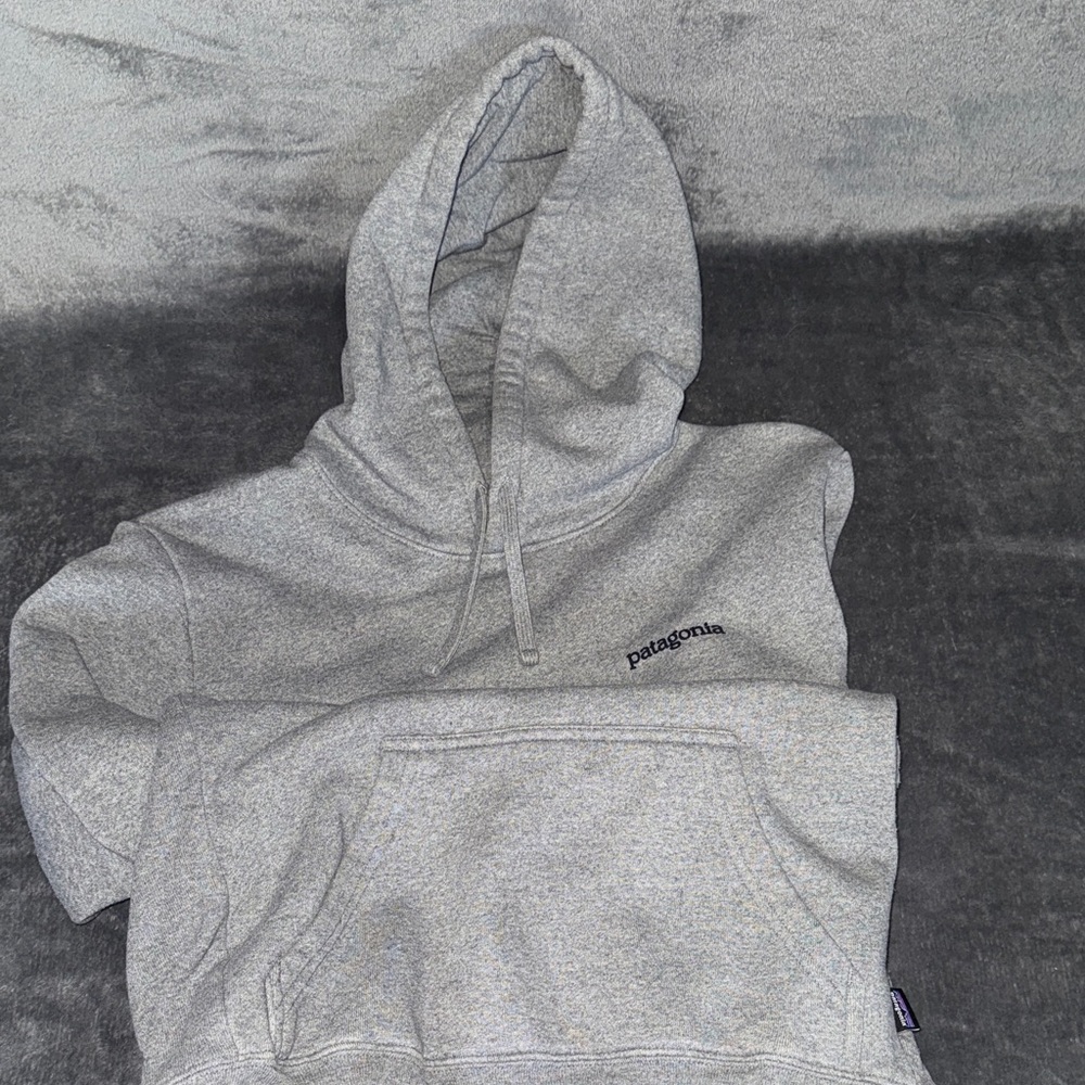 Patagonia Men's Light Gray Hoodie